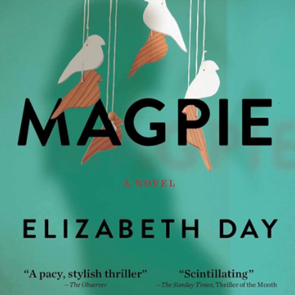 ⭐️ Magpie by Elizabeth Day - Trade Paperback - EUC